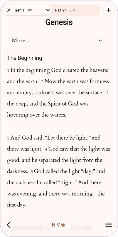 BibleOne Reading Screenshot